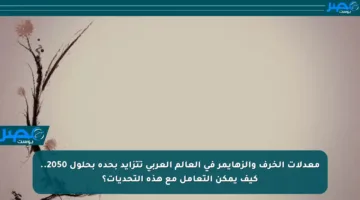 معدلات الخرف والزهايمر في العالم العربي تتزايد بحدة بحلول 2050.. كيف يمكن التعامل مع هذه التحديات؟